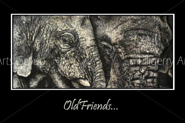 Old elephants